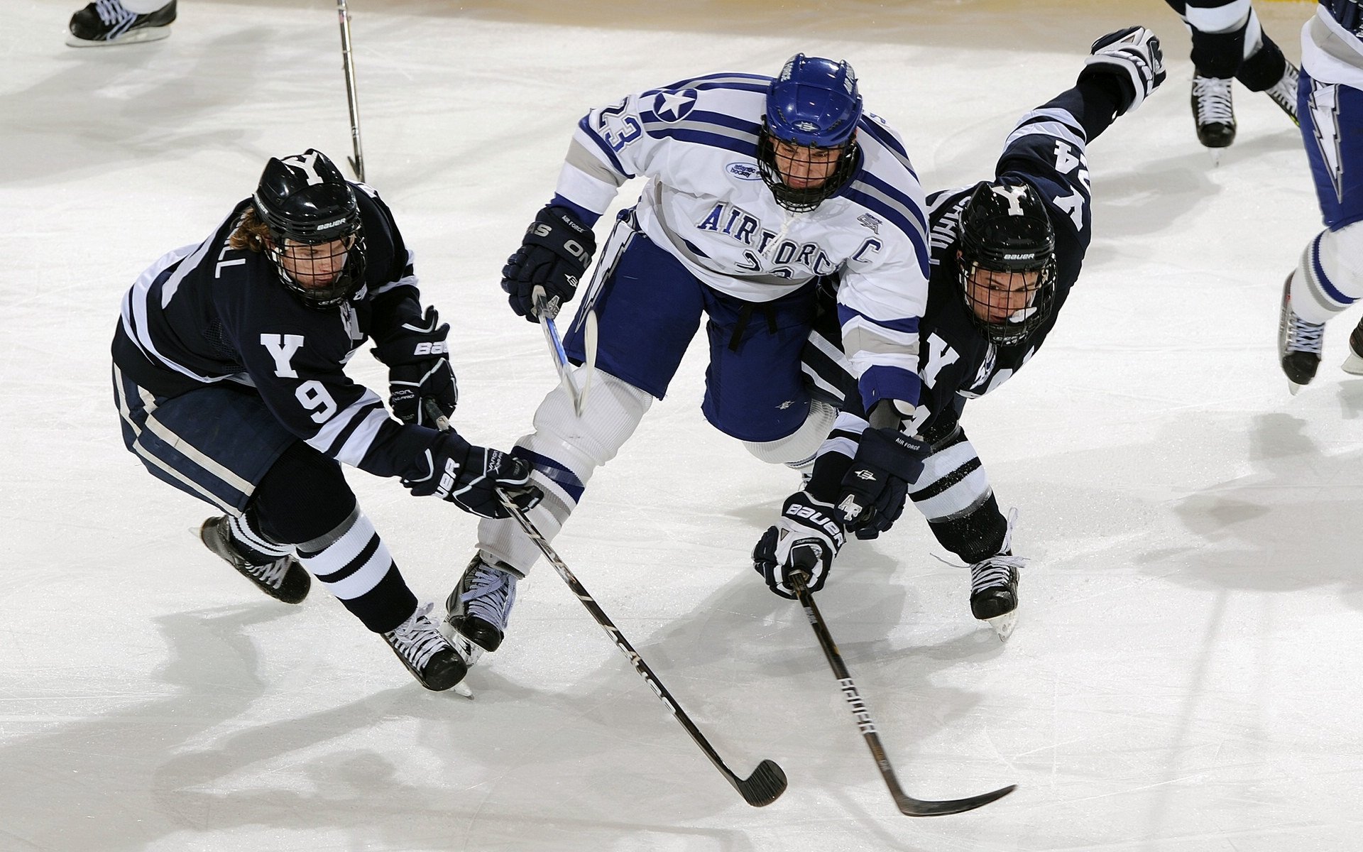 跨界启示录，深圳铁血防守的篮球智慧，与贝恩英超争冠时刻的领袖哲学