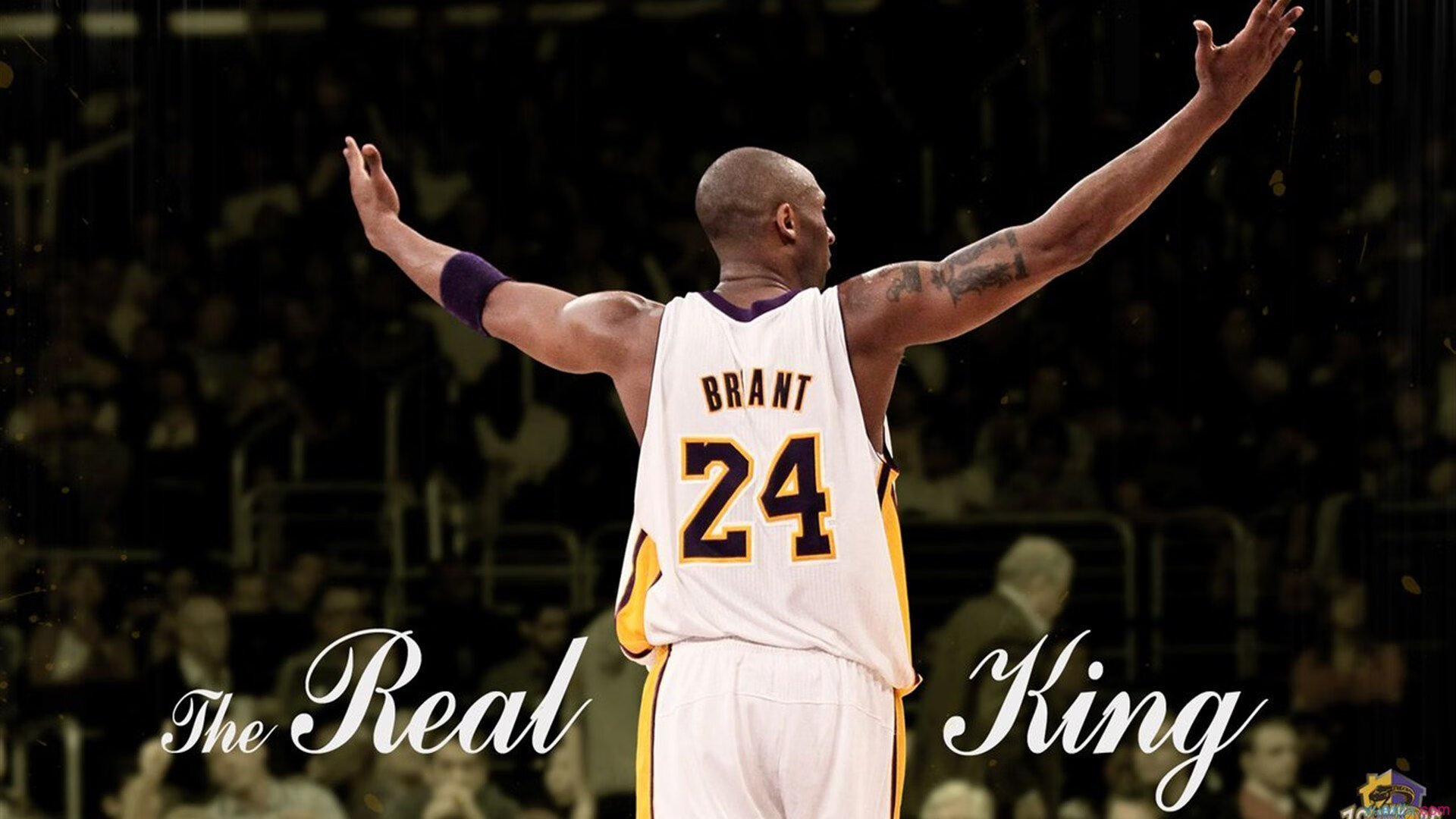 法网红土霸权碾压ATP总决赛?梅德韦杰夫状态火热背后的赛季博弈